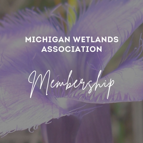 Michigan Wetlands Association