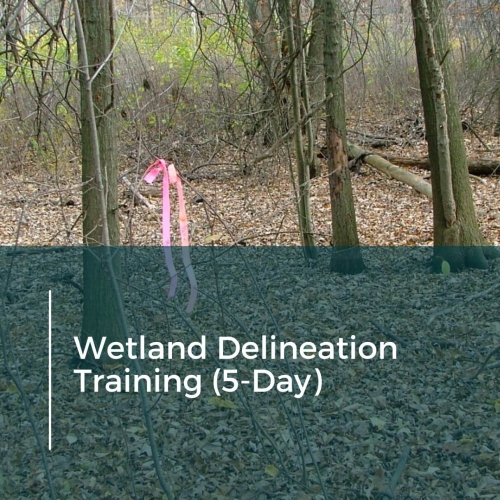 Wetland Delineation Training (5-Day)