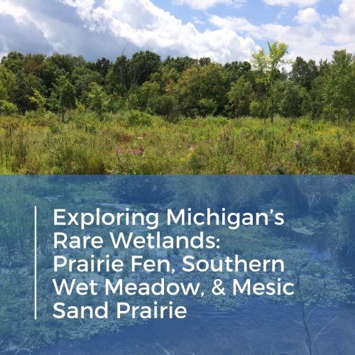 Exploring Michigan’s Rare Wetlands