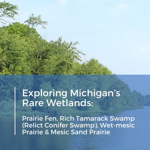 Michigan Rare Wetlands