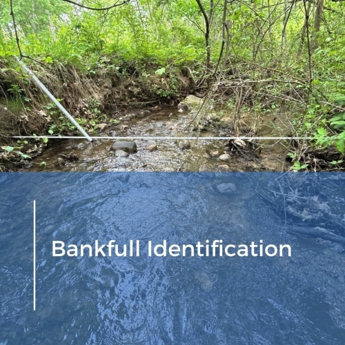 Bankfull Identification