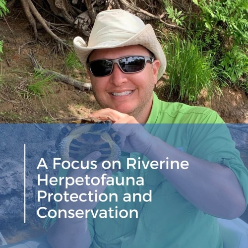 Herpetofauna Protection