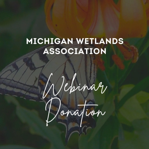MIchigan Wetlands Webinars