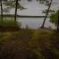Michigan Wetlands Webinars