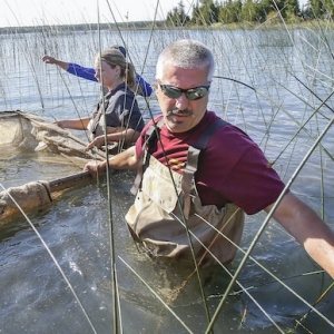 Great Lakes Coastal Wetland Monitoring