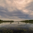 Rare Michigan Wetlands