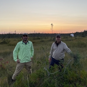 Rare Wetlands Webinars