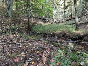 Joint Permit Application