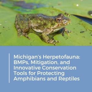 Herps in Wetlands