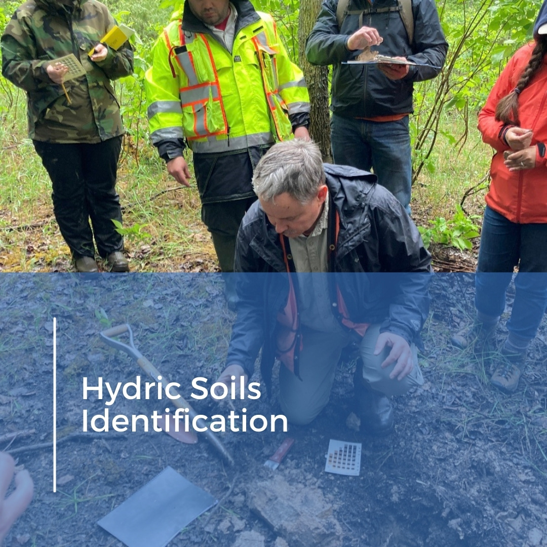 Hydric Soils Identification 2026
