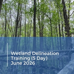 Delineation Training
