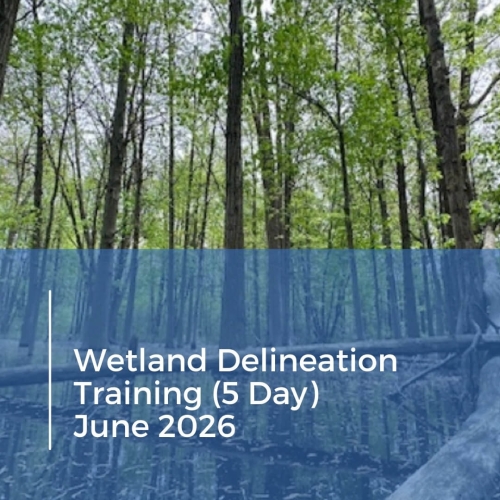 Delineation Training