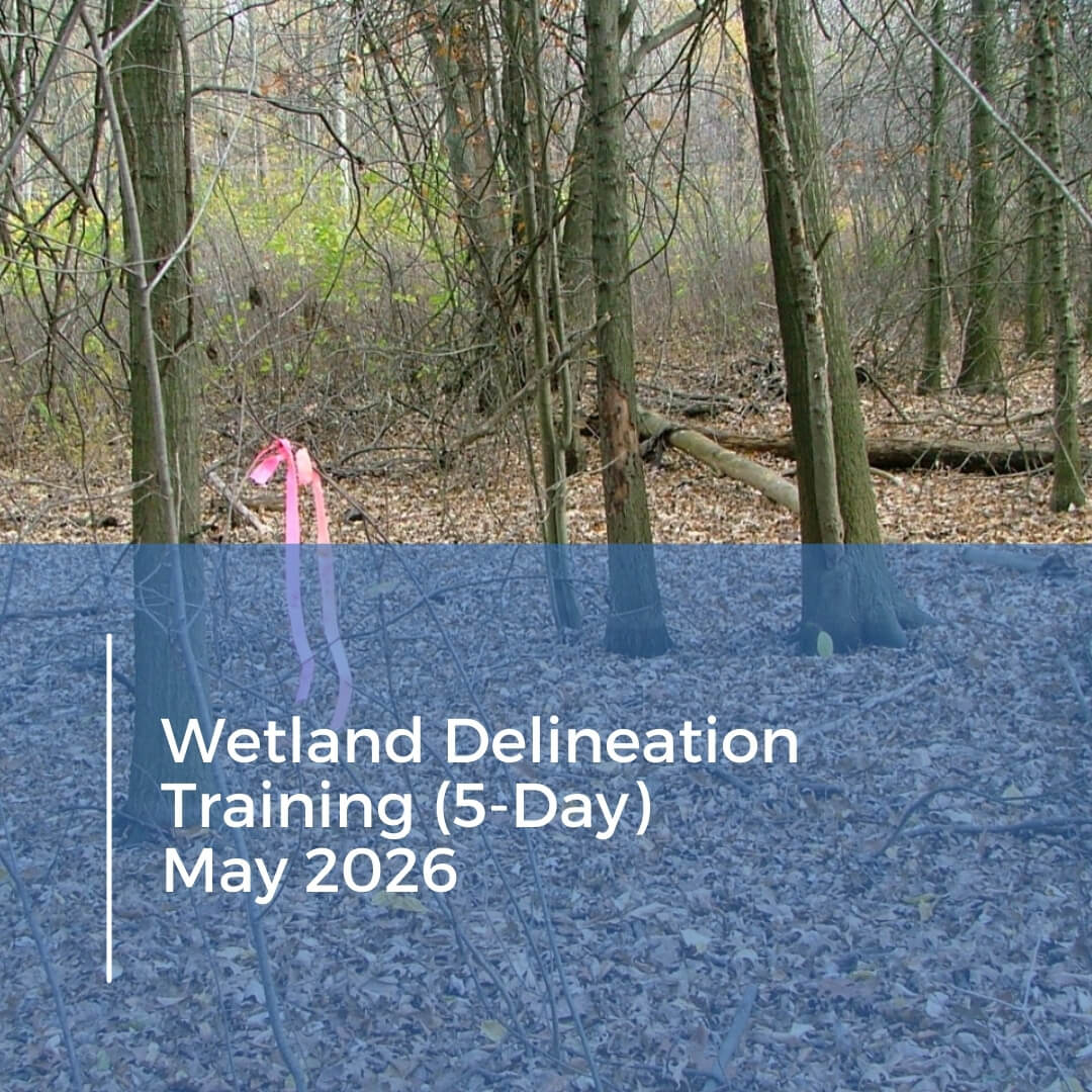 Wetland Delineation Training (5-Day), May 2026