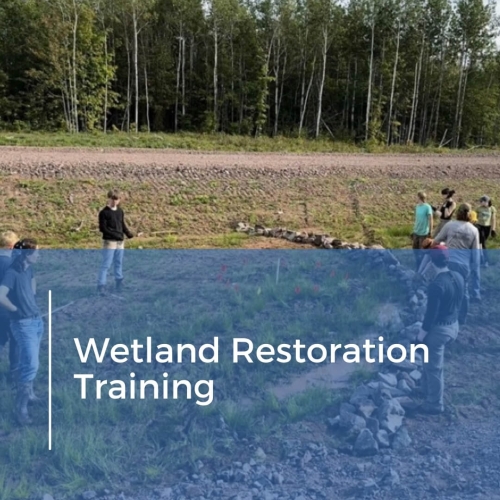 Wetland Restoration Training