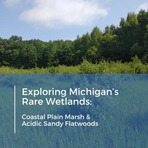 Michigan Rare Wetlands