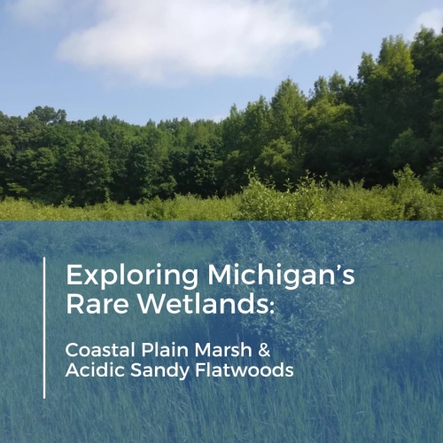 Michigan Rare Wetlands