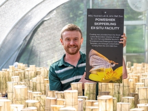 saving rare wetland butterflies