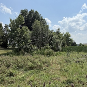 stormwater webinar