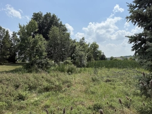 stormwater webinar